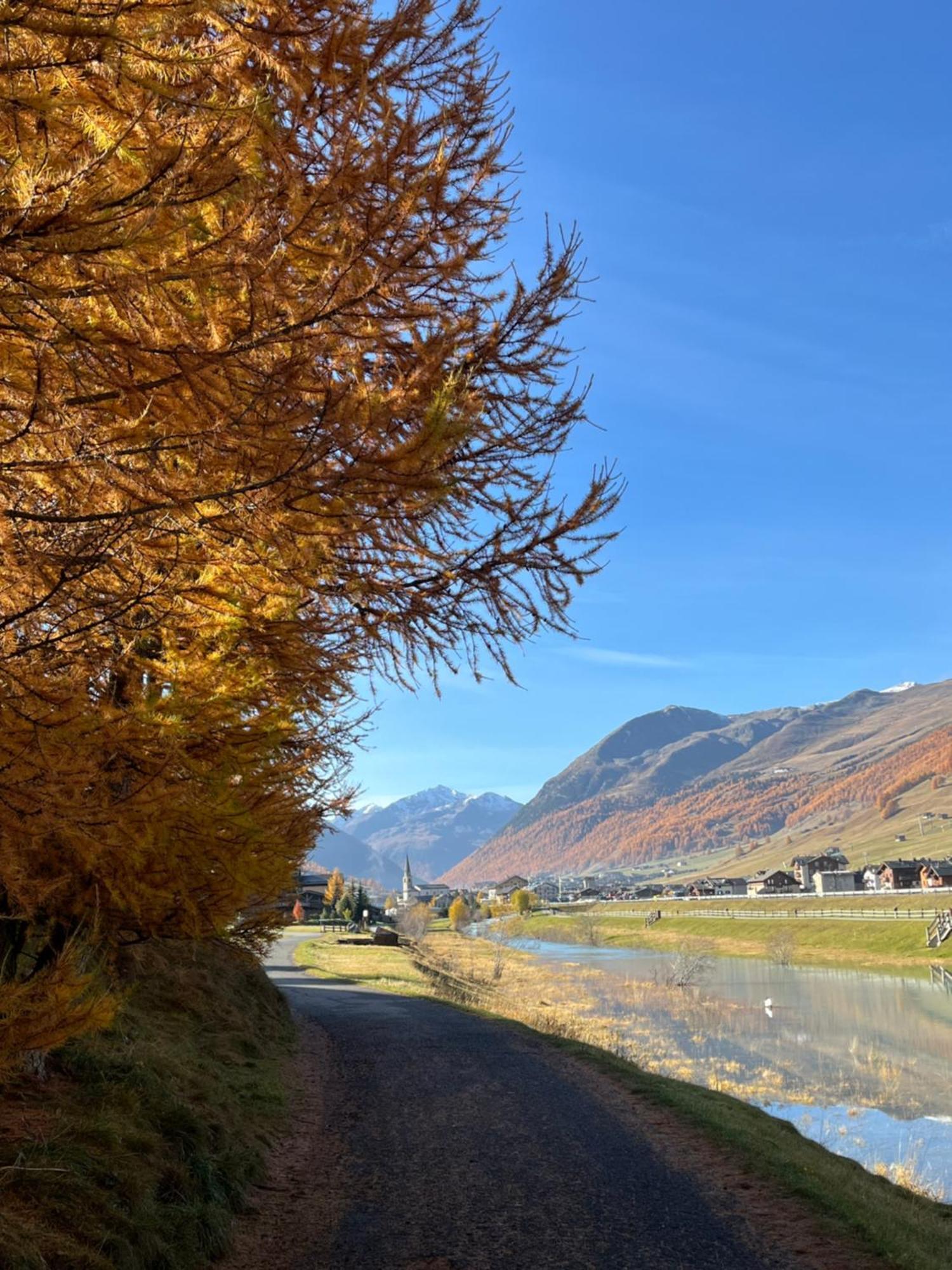 Chalet Shany Livigno Eksteriør bilde